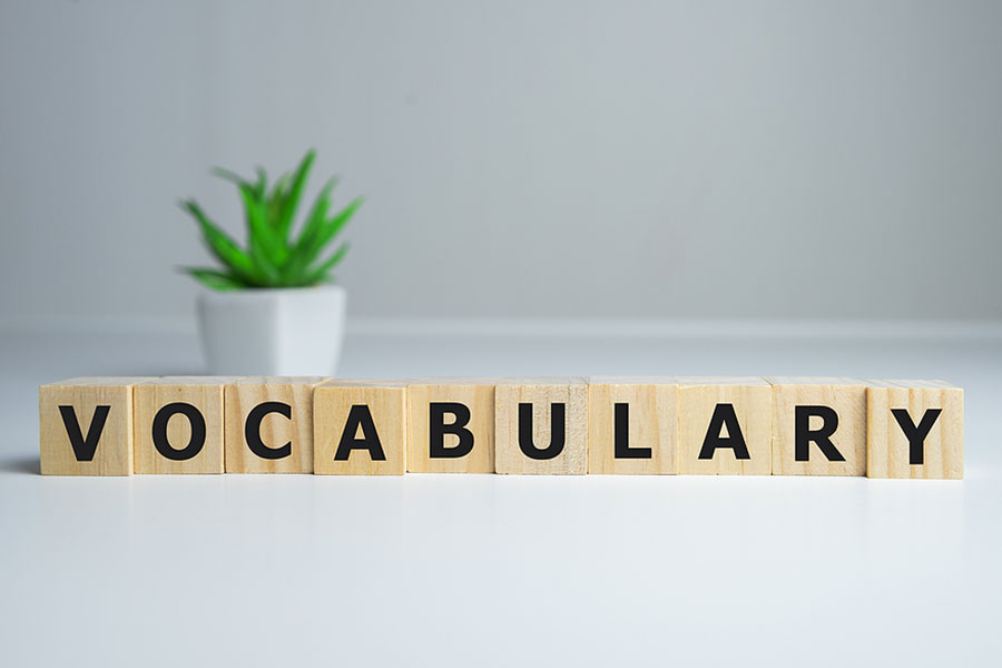 Build Your Vocabulary